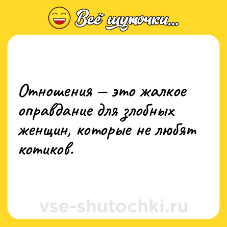 Шутка: Отношения — это жалкое оправдание для злобных женщин, которые не любят котиков.