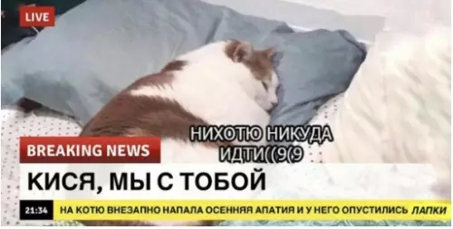 Смешная картинка №305459 Настрoeние: