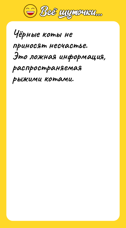 Чёрные коты не приносят несчастье. Это ложная информация, распространяемая рыжими