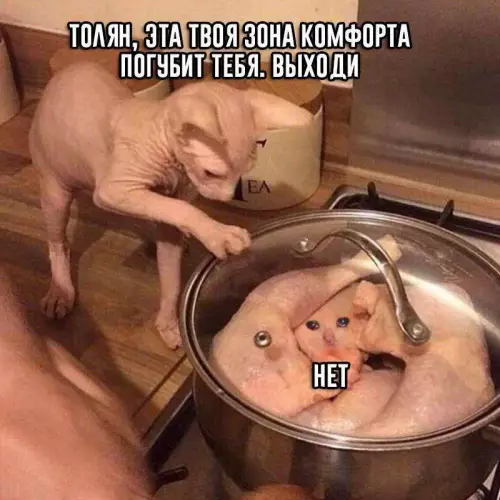 Смешная картинка №684279