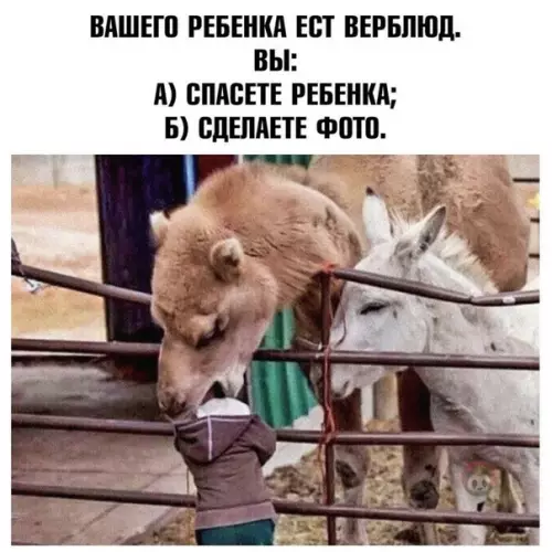 Смешная картинка №505020 Несите премию "родители года" ?