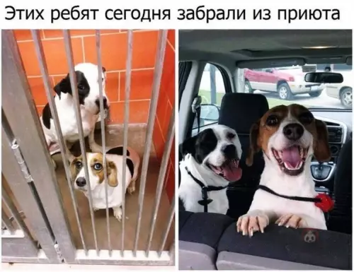 Смешная картинка №501624 Посмотрите какие счастливые мальчики!