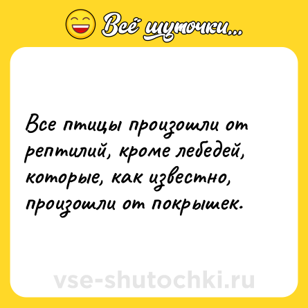 Шутка: Все птицы произошли от рептилий, кроме лебедей, которые, как известно, произошли от покрышек.