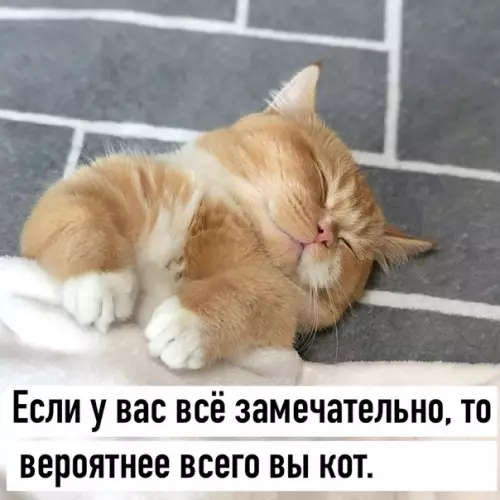 Смешная картинка №513398