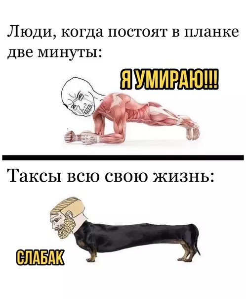 Смешная картинка №593985 Давайте переименуем планку в таксy
