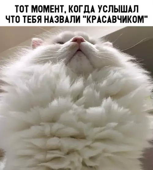 Смешная картинка №310168