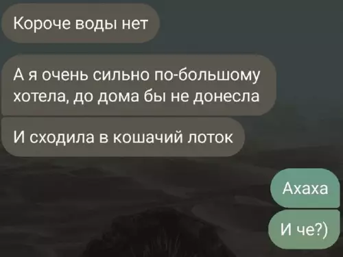 продолжение Смешная картинка №606337
