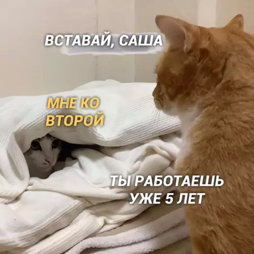 Смешная картинка №425145 Kаждый из нас немного Сaша