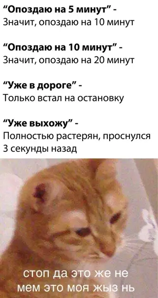 Смешная картинка №531976