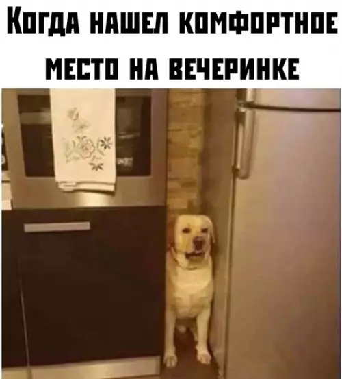 Смешная картинка №379898