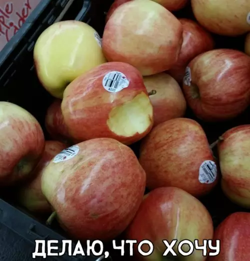 Смешная картинка №292873
