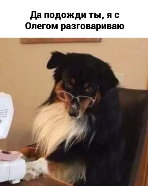 продолжение Смешная картинка №583314