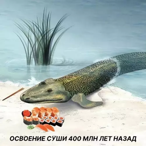 Смешная картинка №734762