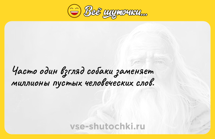 Цитата: Часто один взгляд собаки заменяет миллионы пустых человеческих слов.