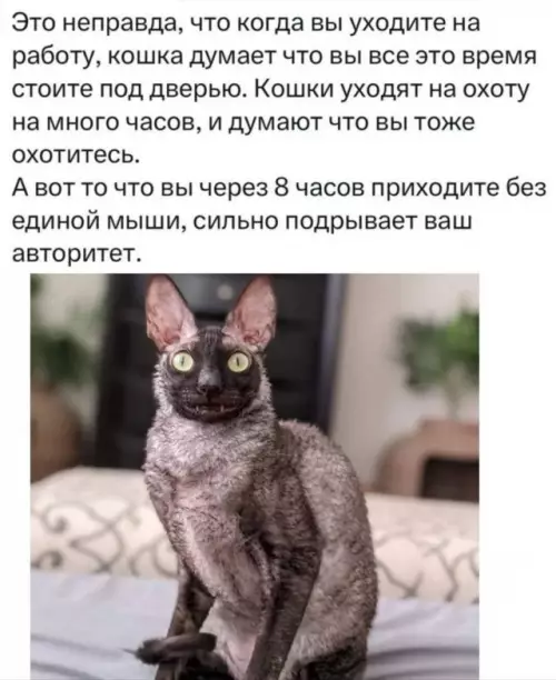 Смешная картинка №775952