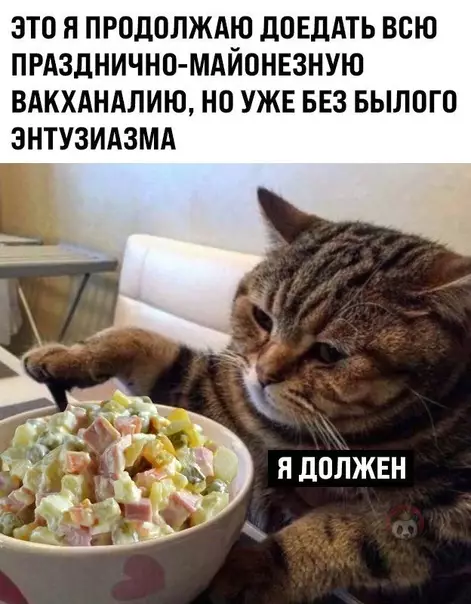 Смешная картинка №548177 Осилит дорогу только жрущий ?