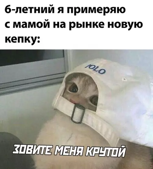 Смешная картинка №507324