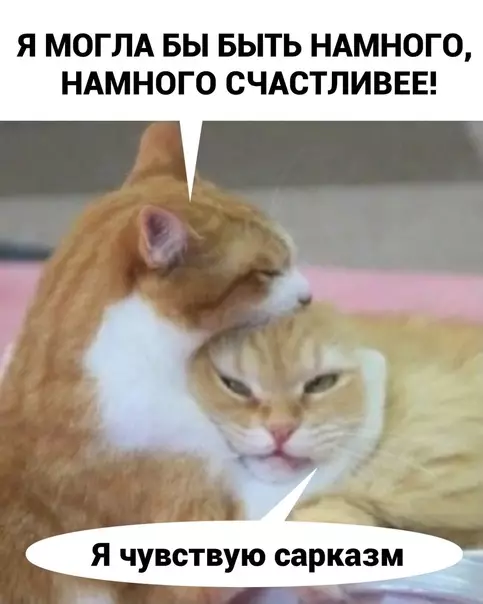 продолжение Смешная картинка №572483