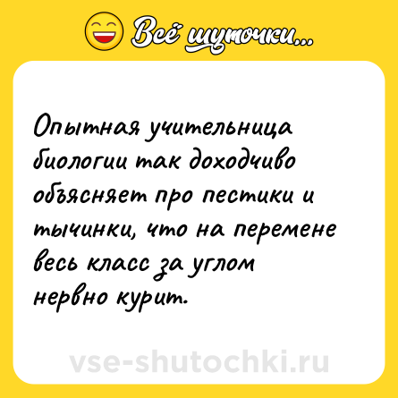 Шутка: Опытная учительница биологии так доходчиво объясняет про пестики и тычинки, что на перемене весь класс за углом нервно курит.