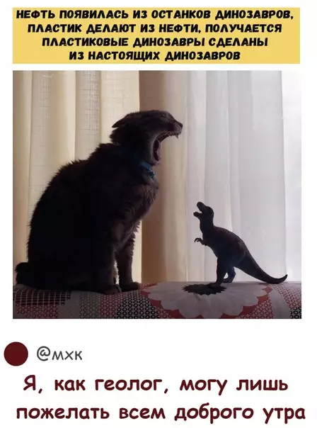Смешная картинка №290352