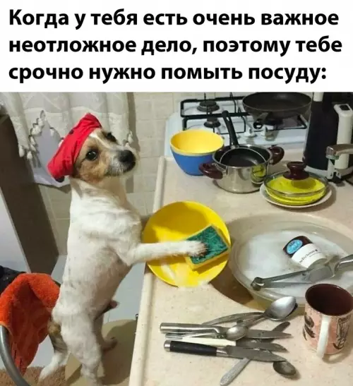 Смешная картинка №687072