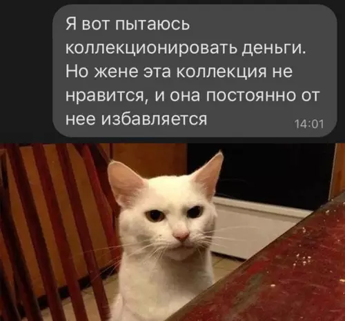 Смешная картинка №528029