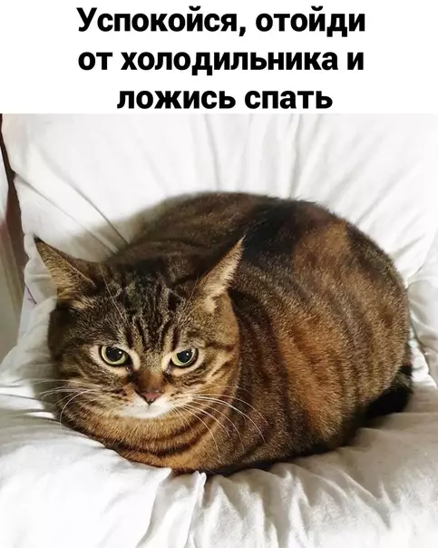 продолжение Смешная картинка №568877