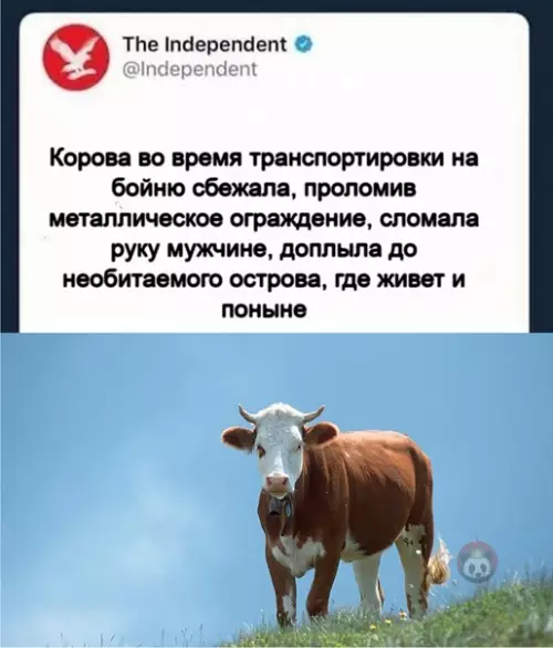 Смешная картинка №568994 Фильм об этом потянет минимум на несколько Оскаров ?