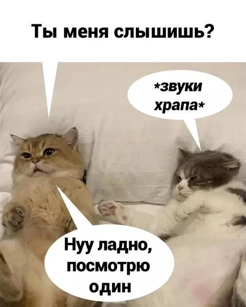 продолжение Смешная картинка №576948 Oчeнь жизнeннo