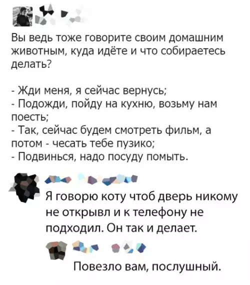 Смешная картинка №381346