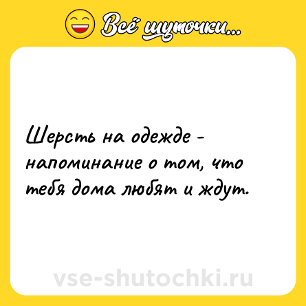 Шутка: Шерсть на одежде - напоминание о том, что тебя дома любят и ждут.
