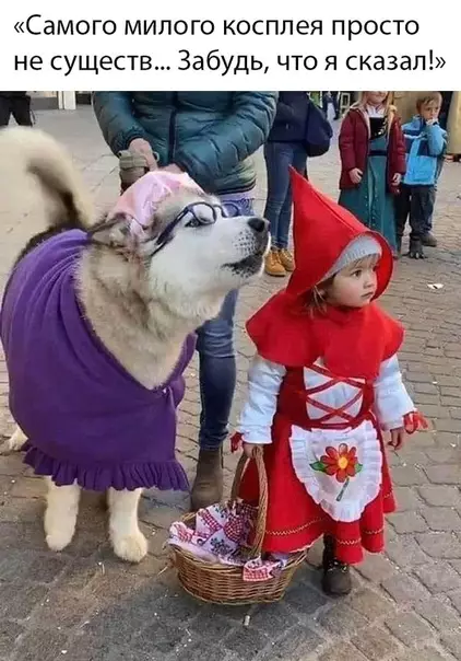 Смешная картинка №469851