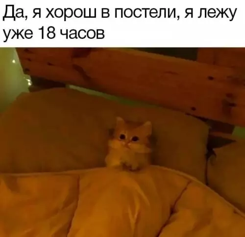 Смешная картинка №779725