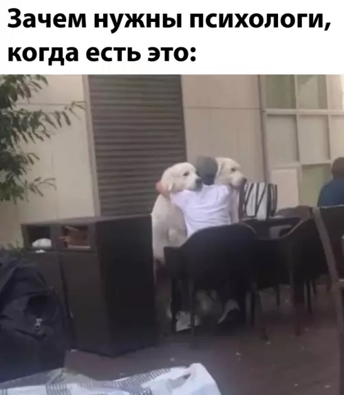 Смешная картинка №679587
