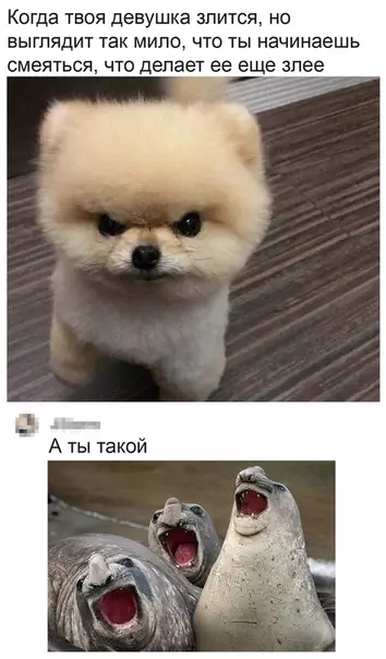 Смешная картинка №492436 Очень жизненно.
