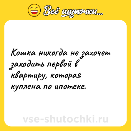 Шутка: Кошка никогда не захочет заходить первой в квартиру, которая куплена по ипотеке.