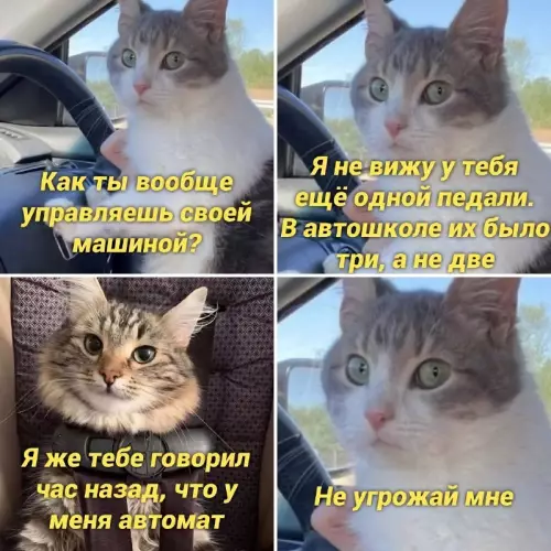 Смешная картинка №671408