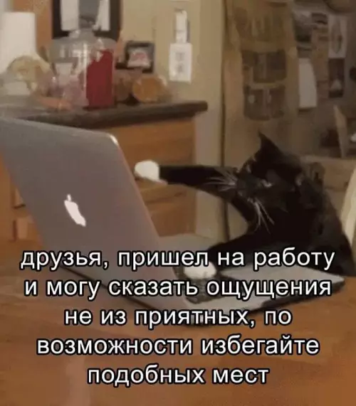 Смешная картинка №718479 работа