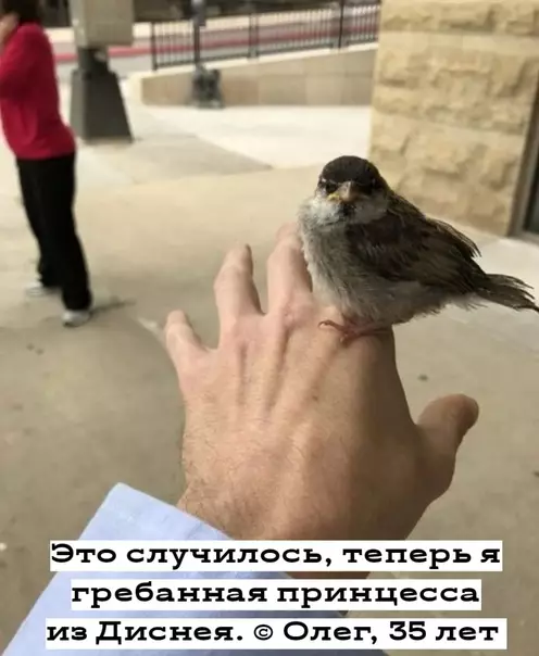 Смешная картинка №479953