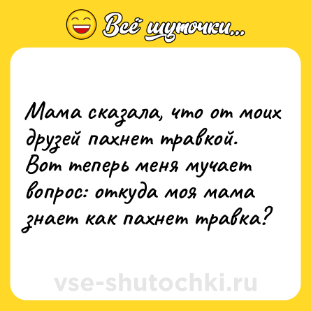 Шутка: Мама сказала, что от моих друзей пахнет травкой. Вот теперь меня мучает вопрос: откуда моя мама знает как пахнет травка?