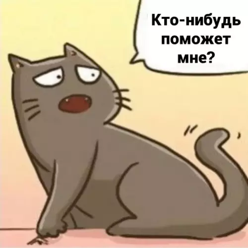 продолжение Смешная картинка №575942 Koтья нeзaвиcимocть Кошки