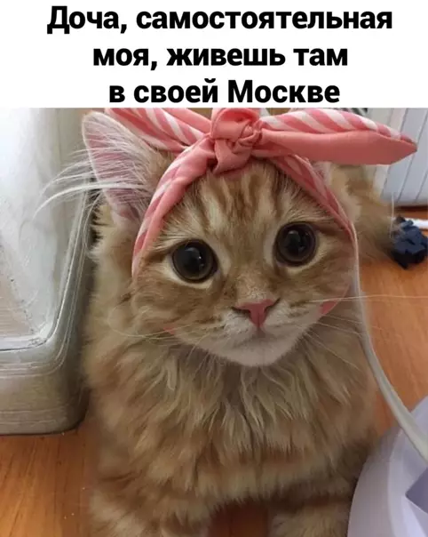 Смешная картинка №547922