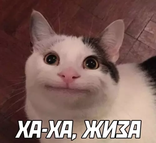 продолжение Смешная картинка №610263