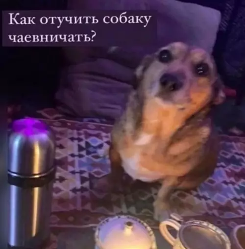 Смешная картинка №687621 Я: ухожу на перерыв каждые 40 минут

Начальник:
