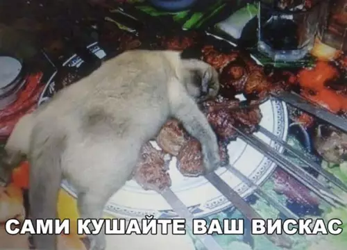 Смешная картинка №254967