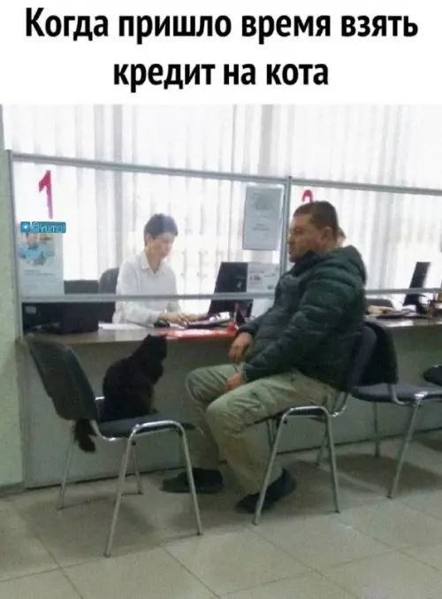 Смешная картинка №663577