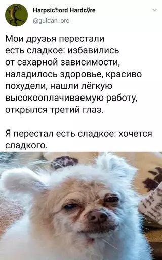 Смешная картинка №721614
