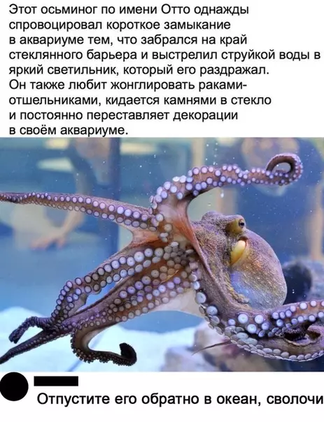 Смешная картинка №508342 Эхх.