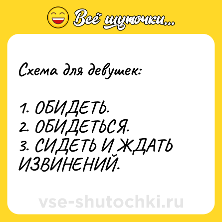 Шутка: Схема для девушек:<br><br>1. ОБИДЕТЬ. <br>2. ОБИДЕТЬСЯ. <br>3. СИДЕТЬ И ЖДАТЬ ИЗВИНЕНИЙ.