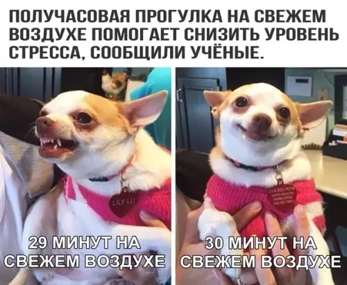 Смешная картинка №347366